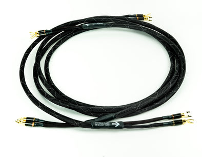Daedalus Speaker Cables by WyWires