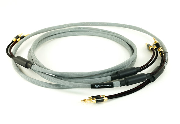 speaker-cables-silver